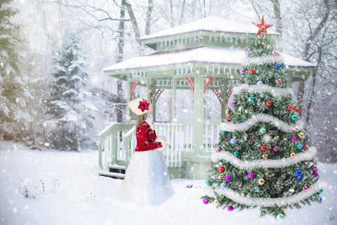 Christmas in the Park - Wooden Jigsaw Puzzles for Adults