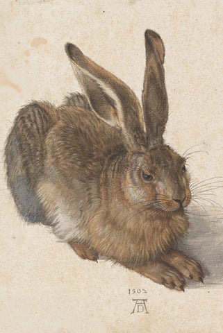 Young Hare by Albrecht Dürer - Peaceful Wooden Jigsaw Puzzles