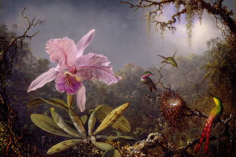Hummingbirds and Orchids by Martin Johnson Heade - Wooden Jigsaw Puzzles for Adults