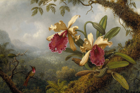 Hummingbird and Orchids by Martin Johnson Heade - Wooden Jigsaw Puzzles for Adults