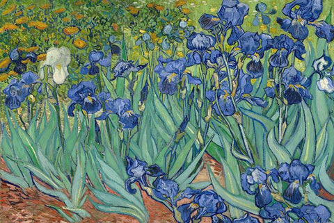 Irises in Garden by Van Gogh - Peaceful Wooden Jigsaw Puzzles